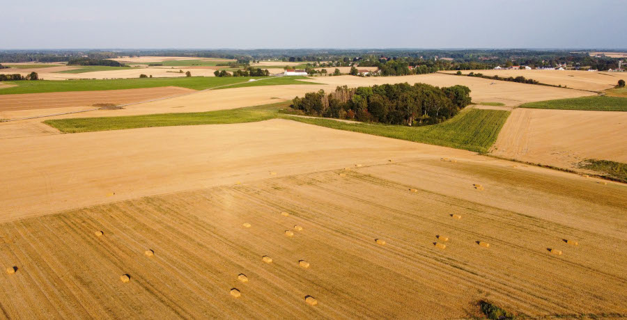 Luftaufnahme: Strohballen auf einem Feld